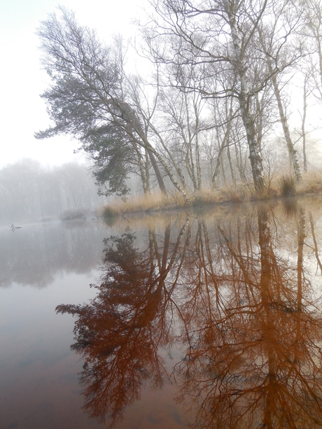 Siepelveen @ Drenthe