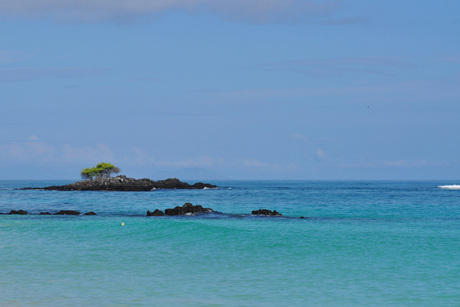 Galápagos 1