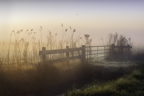 mooie ochtend in de polder