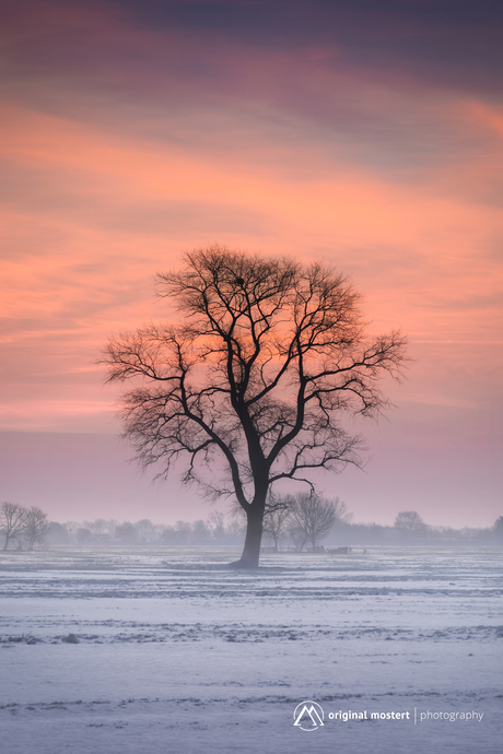 Ochtend in verstilling...