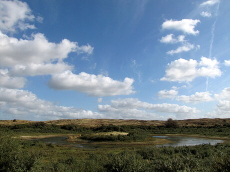 Strand Meertje