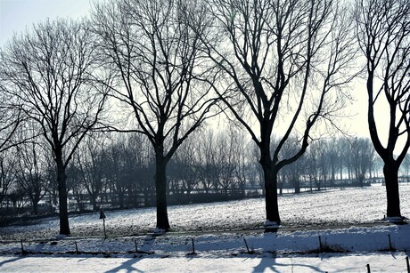winterlandschap