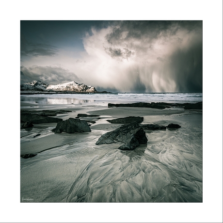 Shoreland V