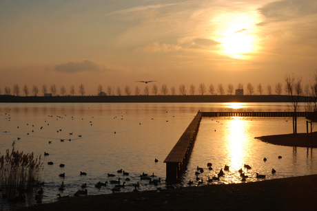 winterzonnetje tijdens een wandeling langs de plas