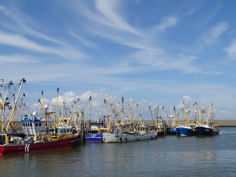 Visserijhaven Harlingen