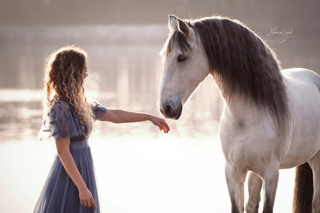 Romantische paardenfotografie - first touch