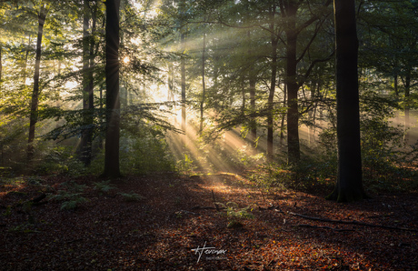 Zonsopkomst in de herfst...