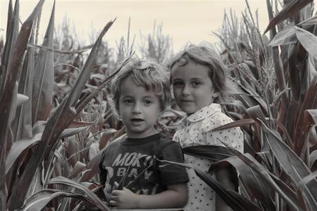 Children of the corn 2