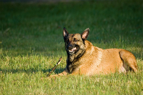 Lekker stokje na het zwemmen