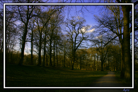 Lente in Zwolle