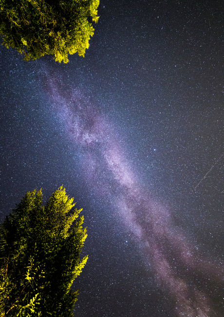 Milky-way in the Black forest