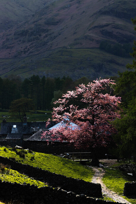 Langdales Lightshow vol. 3 - Lake District