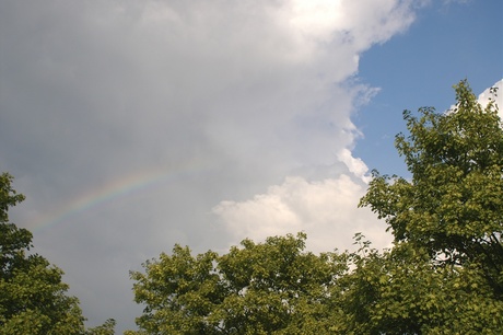 Regenboog smelt voor de zon