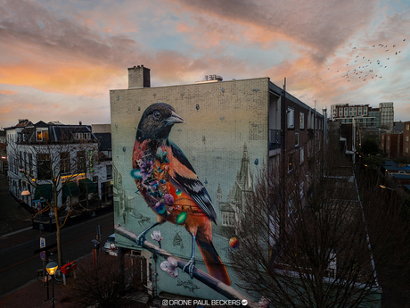 Een kleurrijke vogel vult de muur op de hoek van de Bloemerstraat en de Eerste Walstraat in het centrum van Nijmegen.