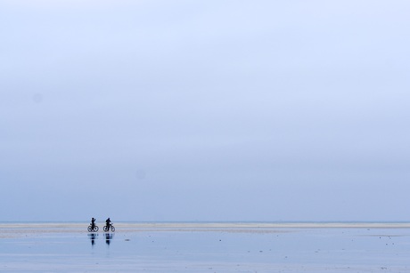 Weids op Texel