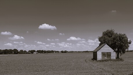Eenzaam huisje