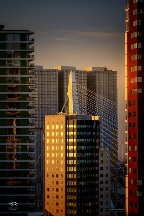 Zonsopkomst op de skyline van Rotterdam