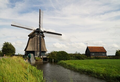 ECHT HOLLANDS