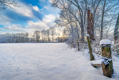 Mooier wordt het niet