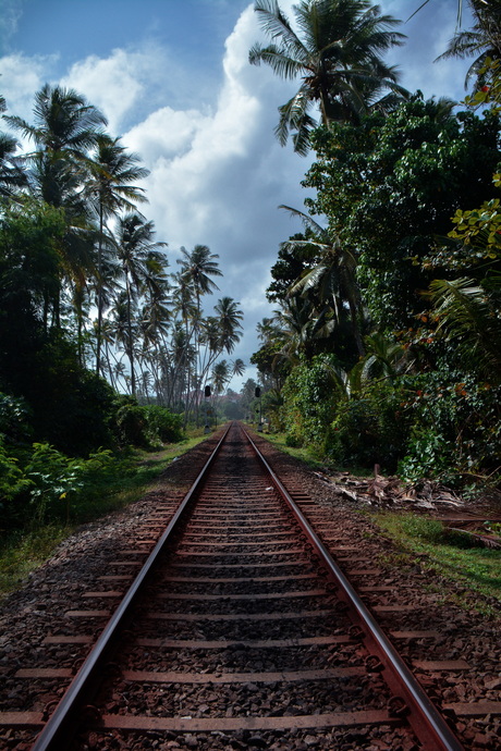 Spoor midden in de natuur van Sri Lanka!