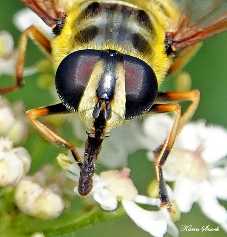 "Een nog closer-upje..."