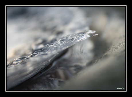 opstijgende vogel....................