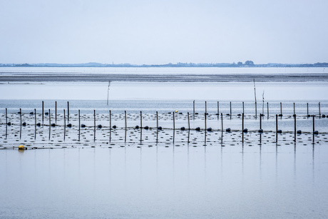 Zeeboerderij