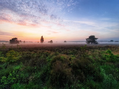 Zonsondergang Veluwe