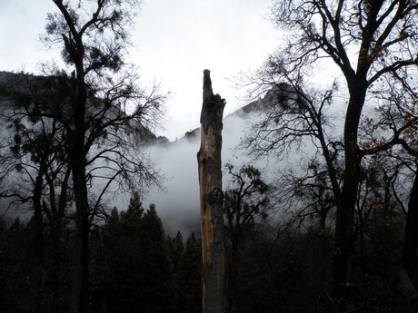 Yosemite National Park