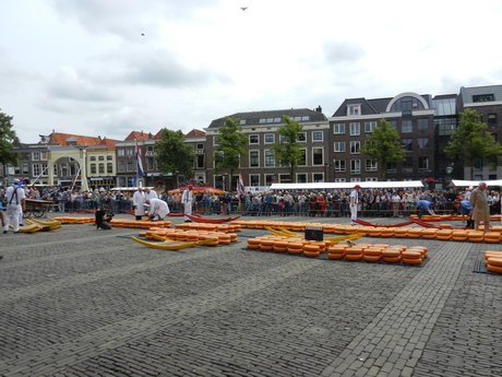 Kaasmarkt Alkmaar