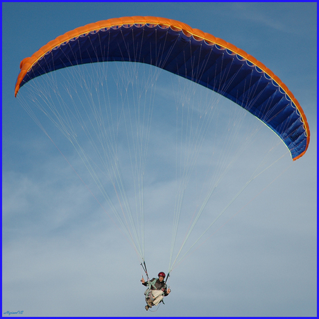 Paraglider