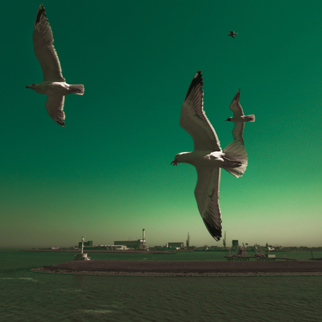 Met broeders op jacht