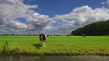 Nieuwsgierig