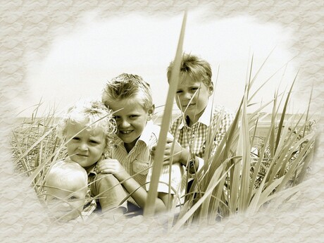mijn zonen in de duinen