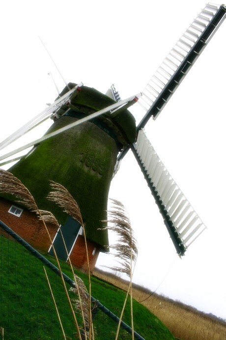 molen