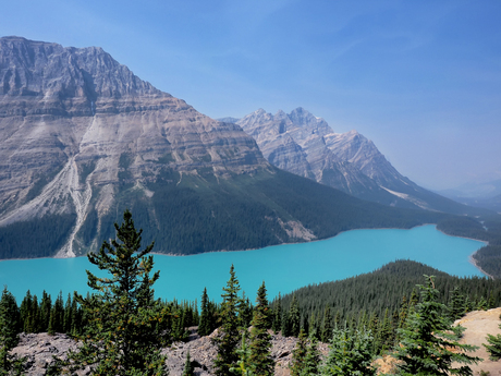 Lake Peyto