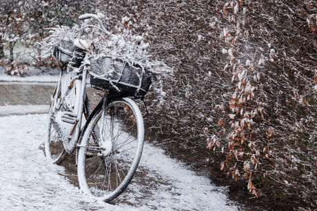 Beetje sneeuw leidt al meteen tot mooie plaatjes. 