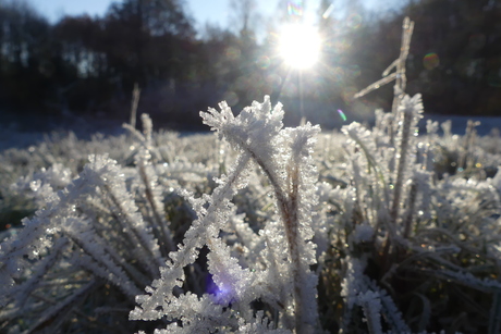 Wintersplaatje