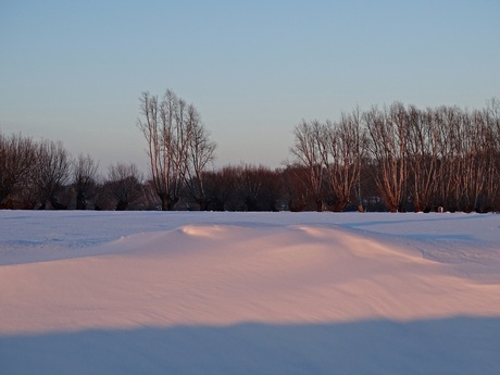 Sneeuwlandschap