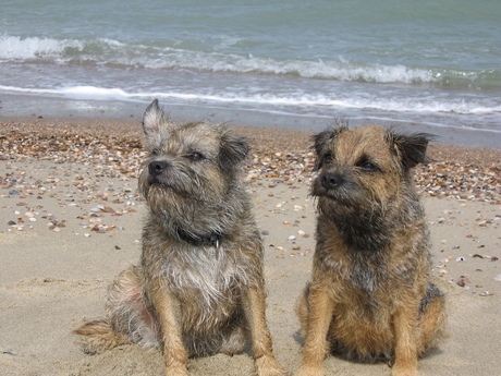 dagje strand