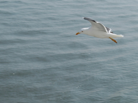 Naar Texel...