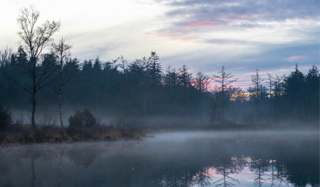 Foggy Lake (WINTER)