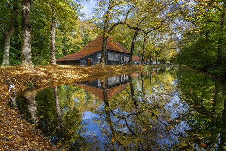 Zwarte Schuur Bergen