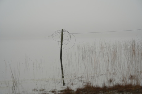 Paaltje met draad in de mist