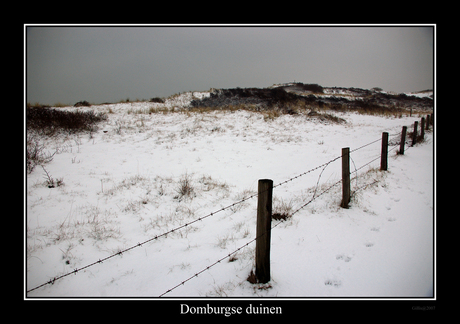Domburgse duinen