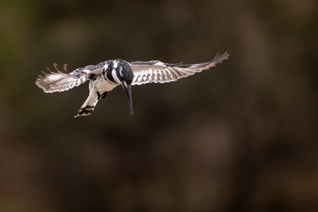 Klaar voor de aanval