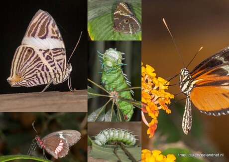 Mijn High Lights van de week