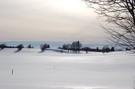 Winterlandschap