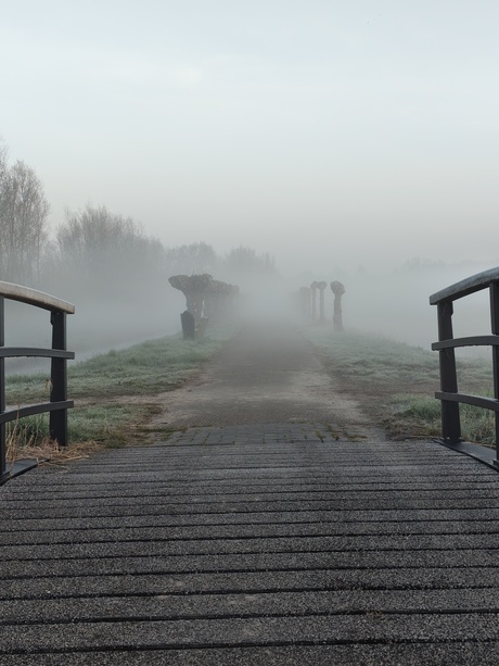 De mist in