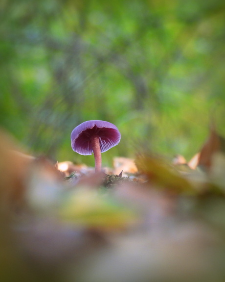 Kleurrijk herfsthoedje